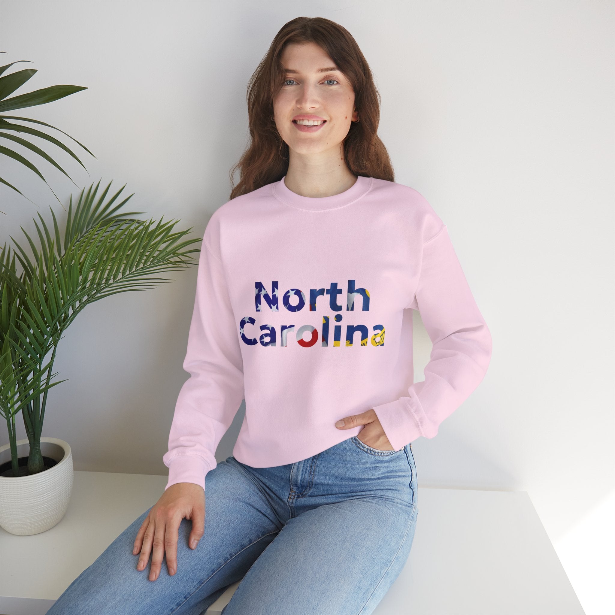 NC Patriots - North Carolina Gradient Crewneck Sweatshirt
